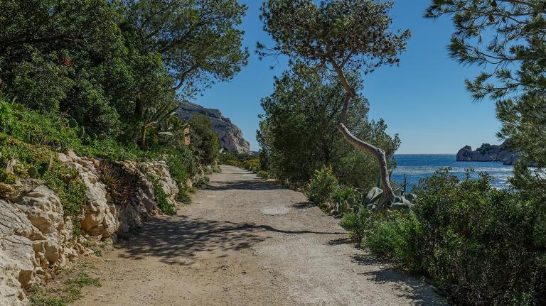 Activité en plein air de Yoga et Randonnée dans la Calanque de Sormiou