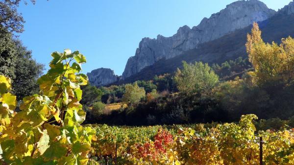 vignes Dentelles de Montmirail