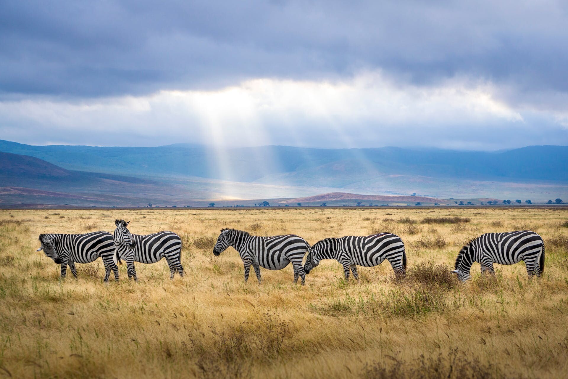 voyage au kenya